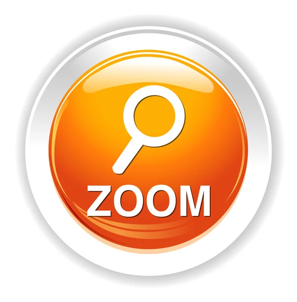Zoom web icon — Stock Vector
