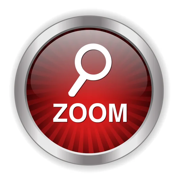 Ícone da web zoom — Vetor de Stock