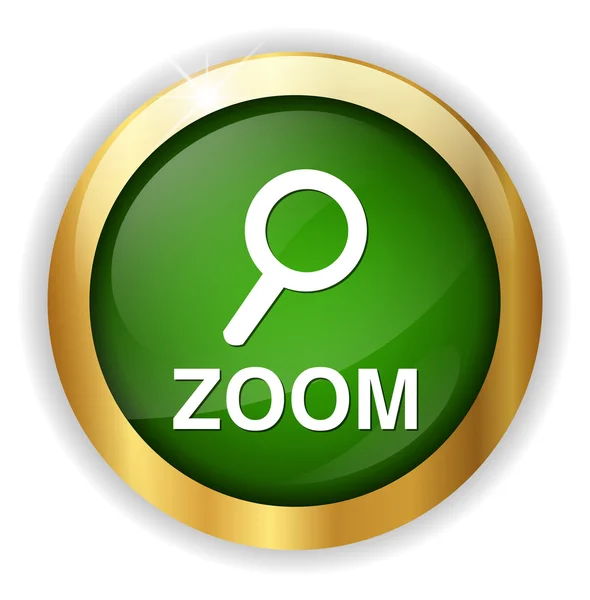 Zoom icône web — Image vectorielle