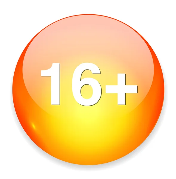 16 plus button icon — Stock Vector