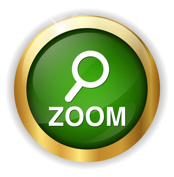 Ícone da web zoom — Vetor de Stock