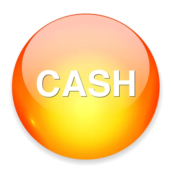 Cash web icon — Stock Vector