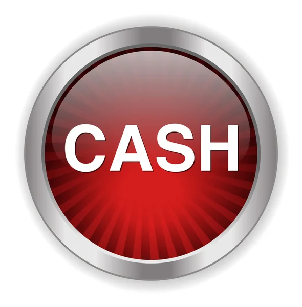 Cash web icon — Stock Vector