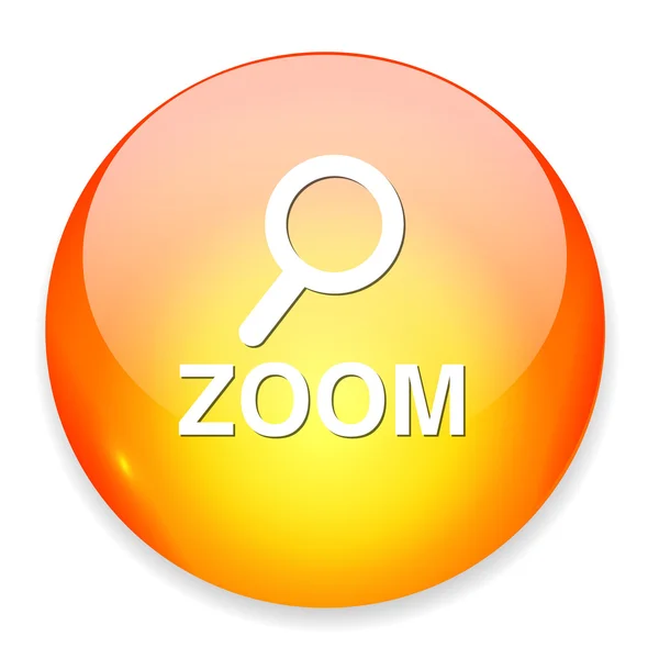 Web simgesi zoom — Stok Vektör