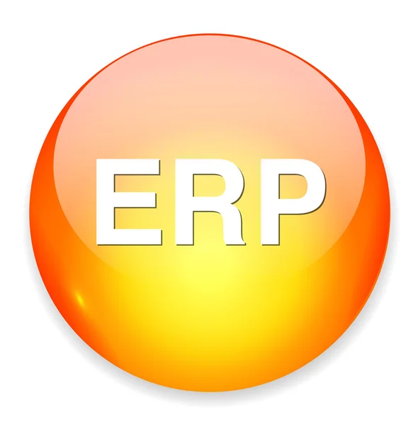 Icono web erp — Vector de stock