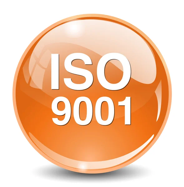 Iso 9001 アイコン — ストックベクタ