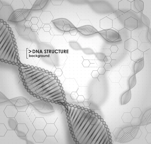 Struttura del DNA in bianco e nero — Vettoriale Stock