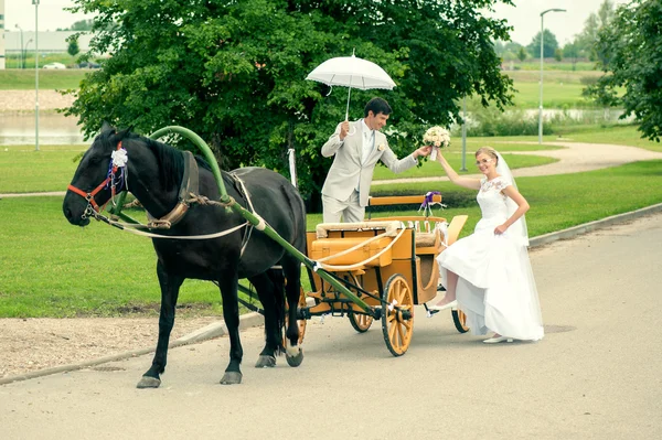 Gelin ve damat at arabası içinde — Stok fotoğraf