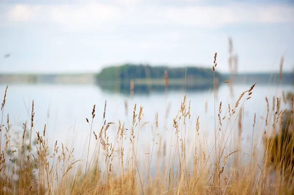 Paisaje otoñal con río — Foto de Stock