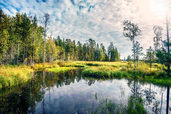 Herfst landschap met meer — Stockfoto