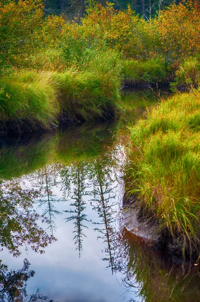 Flusslandschaft im Herbst — Stockfoto