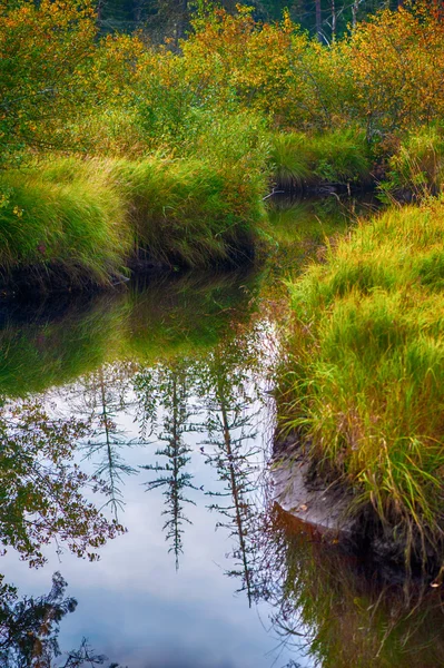 Otoño escena del río —  Fotos de Stock