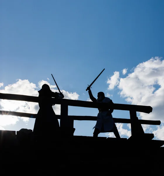 Ancient knights battle — Stock Photo, Image