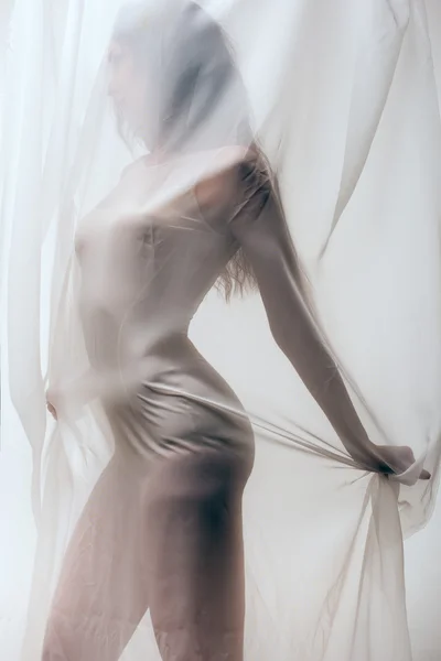 Sexy  lady  behind tulle curtain — Stock Photo, Image