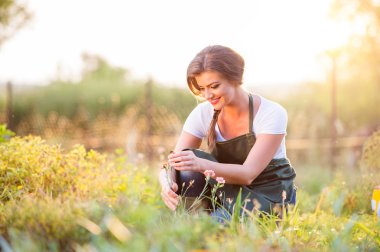 Young gardener in garden with various plants, sunny nature
