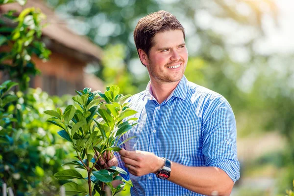 Handsome gardener with little tree, green sunny nature — Stock Photo, Image