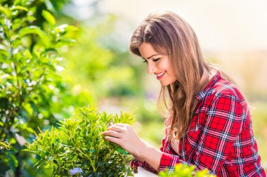 Beautiful gardener with little tree, green sunny nature