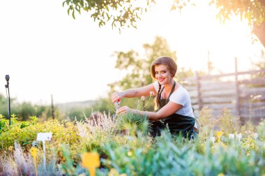 Young gardener cutting little flower plant, green sunny nature