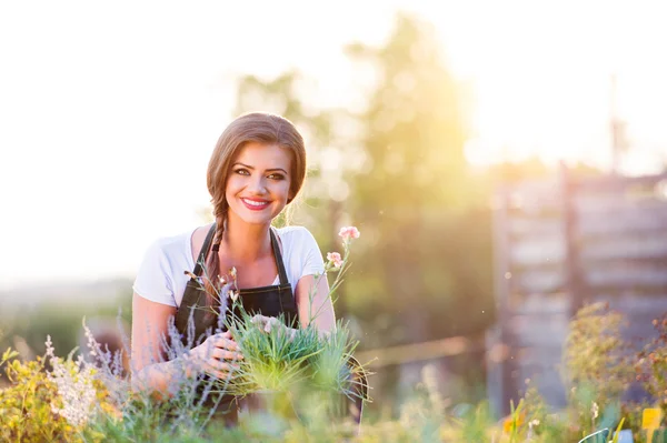 Young gardener in garden with various plants, sunny nature — Stock Fotó