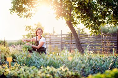 Young gardener cutting little flower plant, green sunny nature