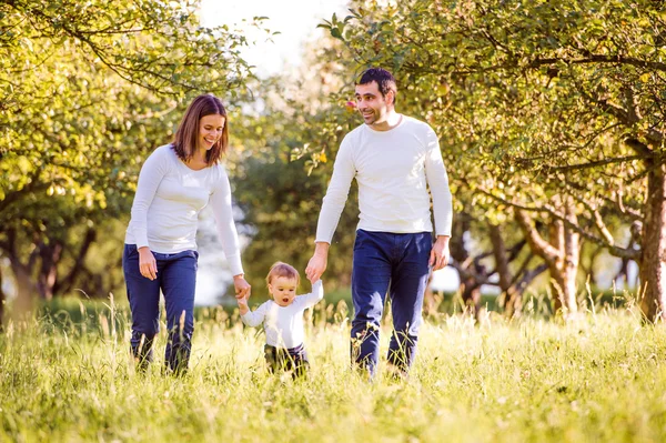 Ouders houden de handen van hun zoon en maken de eerste stappen — Stockfoto