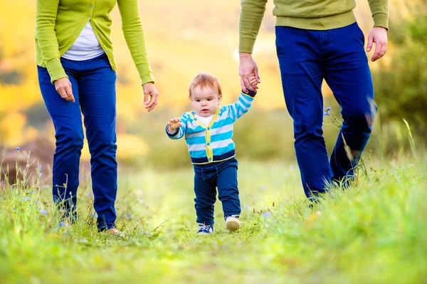 Ouders houden de handen van hun zoon en maken de eerste stappen — Stockfoto