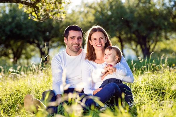 Padres sosteniendo a su pequeño hijo en la naturaleza — Foto de Stock