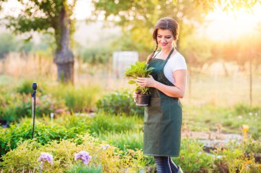 Bahçıvan holding fide çiçek tencerede