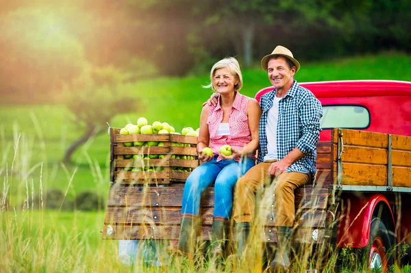 Senior couple in pickup with apples — Stock Photo, Image