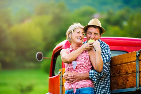 Senior paar oogsten van appels — Stockfoto