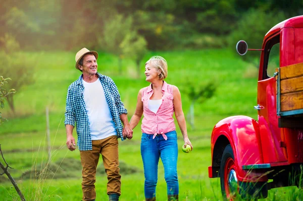 Pareja mayor en la naturaleza por coche vintage — Foto de Stock