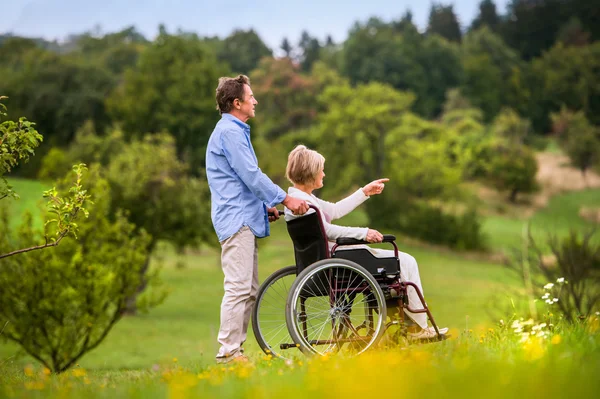 Üst düzey adam kadının tekerlekli sandalye, yeşil sonbahar doğada iterek