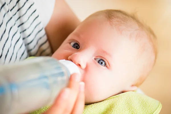 Unrecognizable mother feeding baby son, milk in bottle, close up — Stock Photo, Image