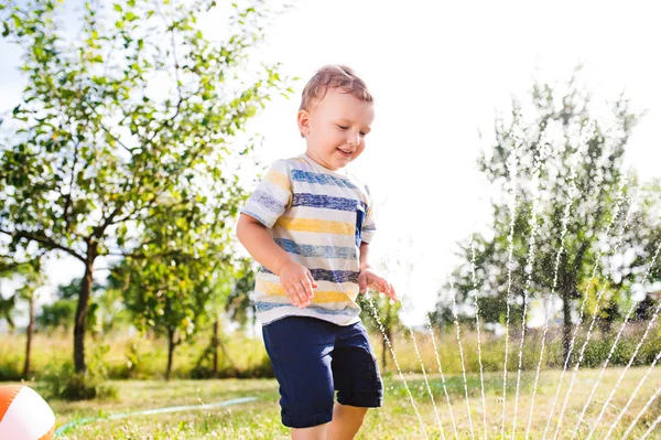 Маленький мальчик на разбрызгивателе веселился в летнем саду — стоковое фото
