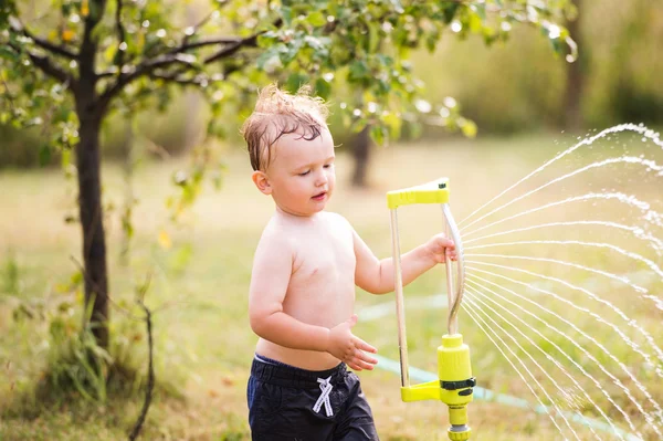 Little boy at the sprinkler having fun, summer garden — Stock Photo, Image