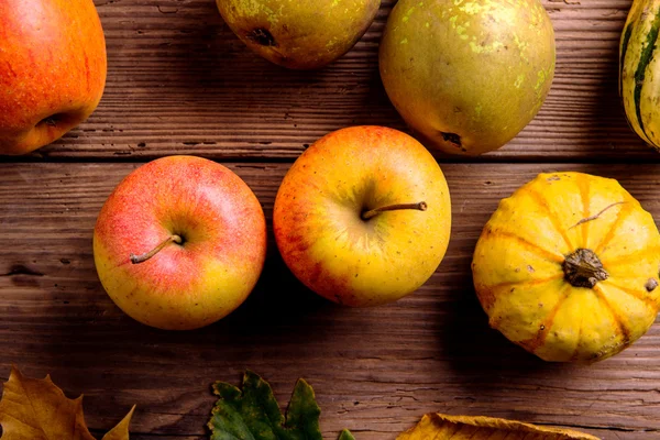 Composición de la hoja de otoño . — Foto de Stock