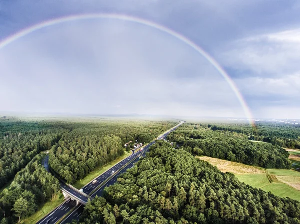 Шоссе в зеленом лесу, красочная радуга, город. Нидерланды — стоковое фото
