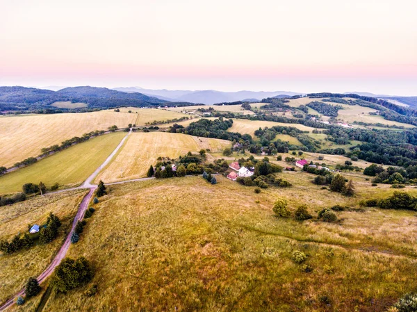 Vue aérienne des prairies vertes, des maisons et de la forêt, été — Photo