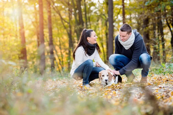 Ungt par gångavstånd hund i skogen — Stockfoto