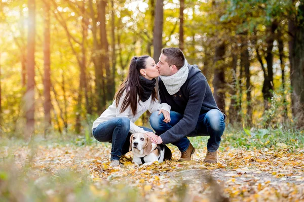 Jovem casal cão de passeio na floresta — Fotografia de Stock