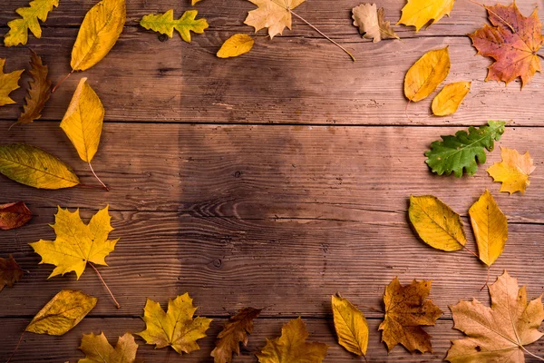 Őszi levelek összetétele a fából készült háttér. — Stock Fotó