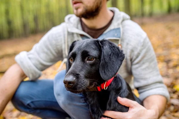 Man op wandeling met hond in het bos — Stockfoto