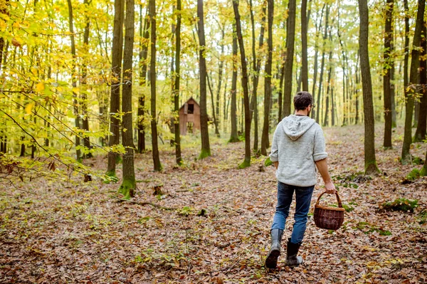 Man plocka muhsrooms i skogen — Stockfoto
