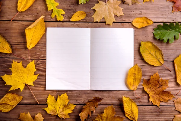 Composición de hojas de otoño —  Fotos de Stock