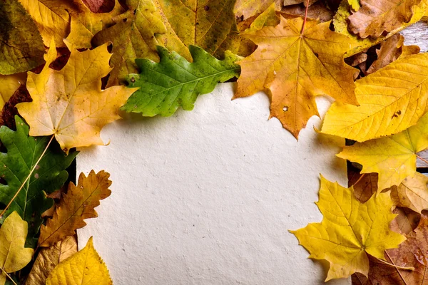 Őszi levelek összetétele — Stock Fotó