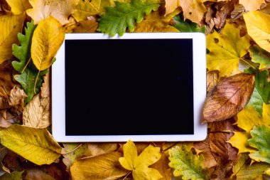 Sonbahar yaprakları bileşimi