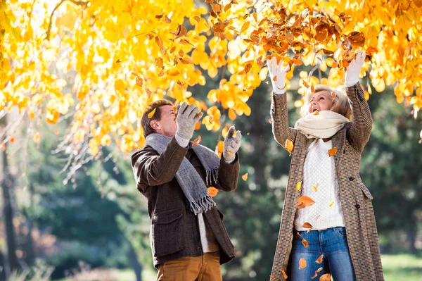 Active senior couple in autumn park — Stock Photo, Image