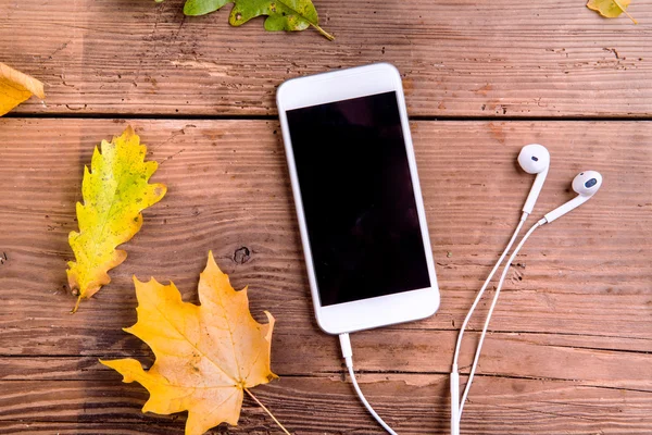 Färgglada löv, smart telefon, hörlurar. — Stockfoto