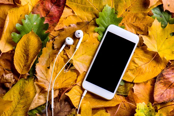 Цветные листья, смартфон, наушники — стоковое фото