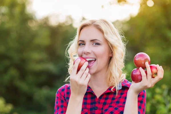 Красивая женщина собирает яблоки, ест их — стоковое фото